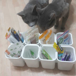 여온님이 올린 리뷰 사진 1