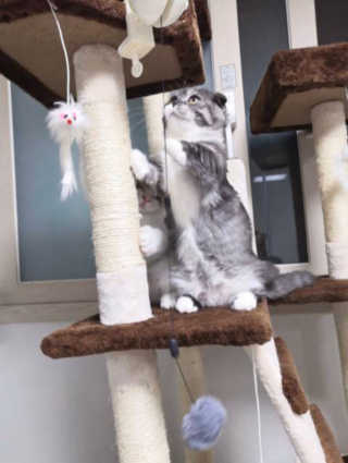 송유미님이 올린 리뷰 사진 3