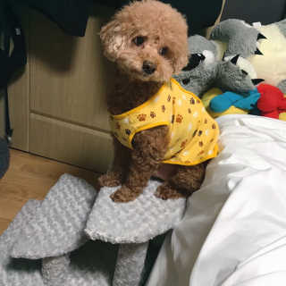 탱스님이 올린 리뷰 사진 2
