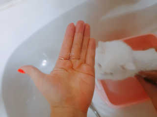 딸셋맘님이 올린 리뷰 사진 4