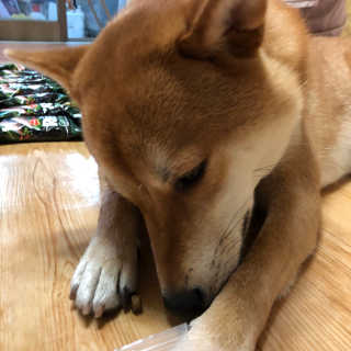 럽녜님이 올린 리뷰 사진 2