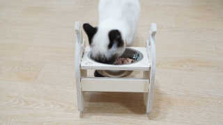 숑이님이 올린 리뷰 사진 4