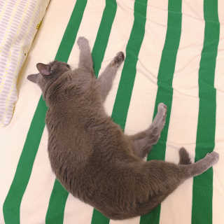 경던님이 올린 리뷰 사진 2