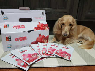 5_daks님이 올린 리뷰 사진 3