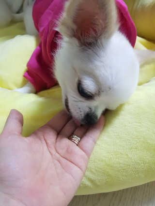 HeeMKwon님이 올린 리뷰 사진 2