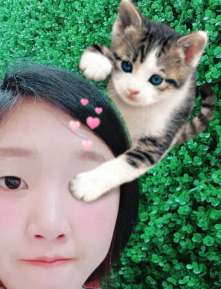 밀키드레스 바비메이크 베일 쿠션 — 4.67점을 준 리뷰어가 2018년 6월 올린 사용 사진