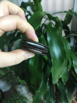 거져줄께잘사가님이 올린 리뷰 사진 4