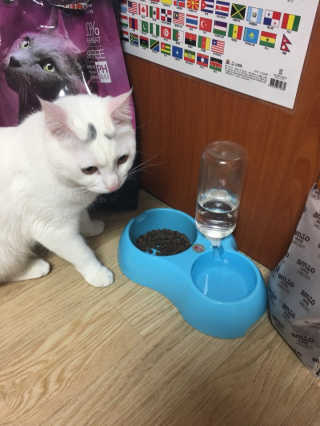 thgml6435님이 올린 리뷰 사진 1