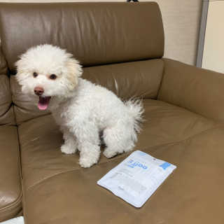 찐멍멍이님이 올린 리뷰 사진 2