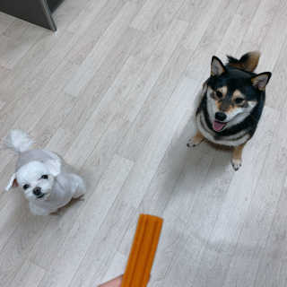 꾸딩님이 올린 리뷰 사진 3