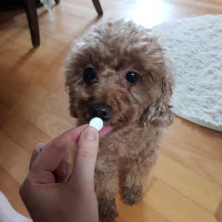 유나님이 올린 리뷰 사진 1