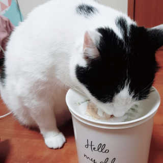한라봉님이 올린 리뷰 사진 2