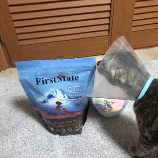 민졍님이 올린 리뷰 사진 1