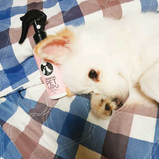 판다곰🐼님이 올린 리뷰 사진 1