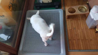 Ryaani.Kang님이 올린 리뷰 사진 1