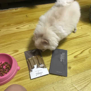 singview님이 올린 리뷰 사진 1