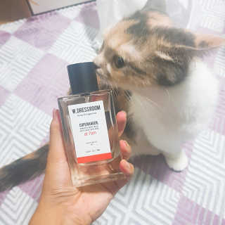 더블유드레스룸 퍼퓸 EDT 70ml — 4점을 준 리뷰어가 2018년 10월 올린 사용 사진