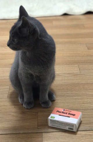 보름달님이 올린 리뷰 사진 2
