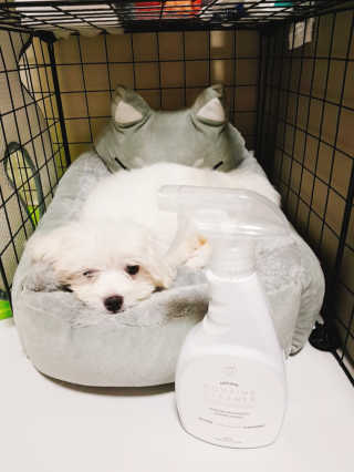 에스힐드님이 올린 리뷰 사진 2