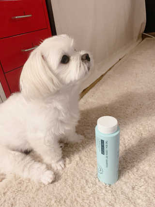 알음님이 올린 리뷰 사진 2