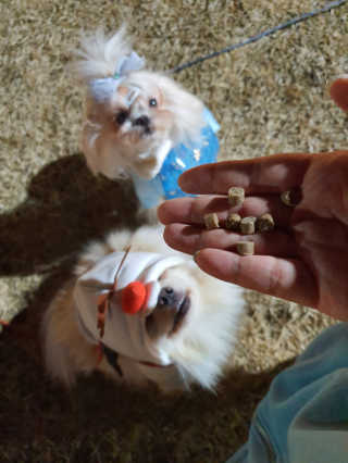 뚱이땅콩맘님이 올린 리뷰 사진 4
