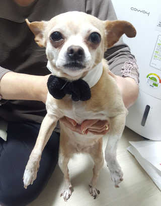 유진오님이 올린 리뷰 사진 2