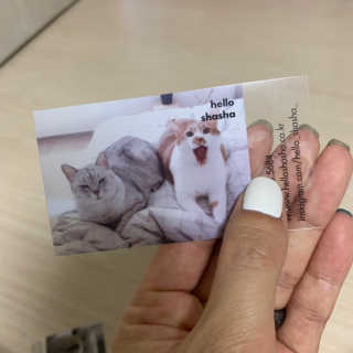 헬로샤샤님이 올린 리뷰 사진 2