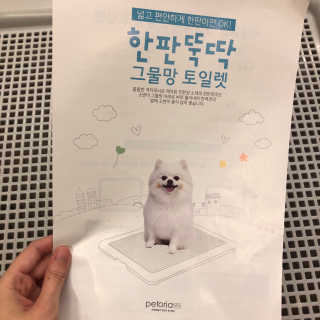 카리니님이 올린 리뷰 사진 1