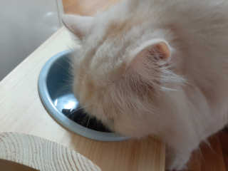 켈리심님이 올린 리뷰 사진 3