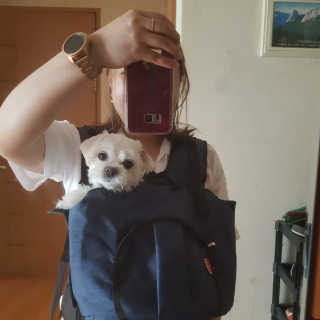 뽀오오옹님이 올린 리뷰 사진 3