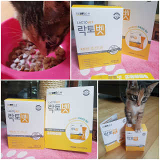 gajete님이 올린 리뷰 사진 1