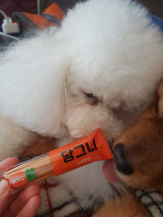 미미네님이 올린 리뷰 사진 3