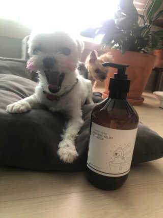 황방울이님이 올린 리뷰 사진 1