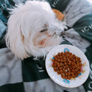 현님이 올린 리뷰 사진 1