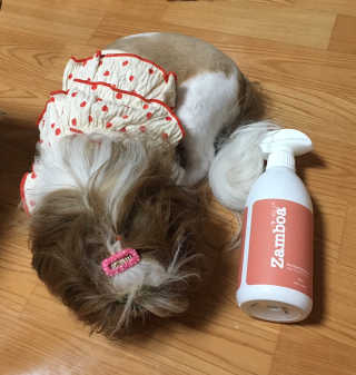 하나님이 올린 리뷰 사진 1