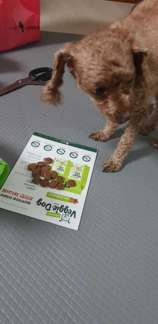 모모맘님이 올린 리뷰 사진 2
