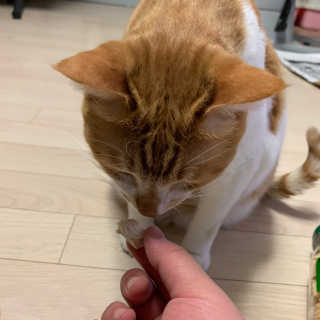 ollie님이 올린 리뷰 사진 4