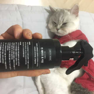 PEACE MOMENT 피스모먼트 인세컨즈포키친 320mL 천연살균소독제 — 5점을 준 리뷰어가 2019년 2월 올린 사용 사진