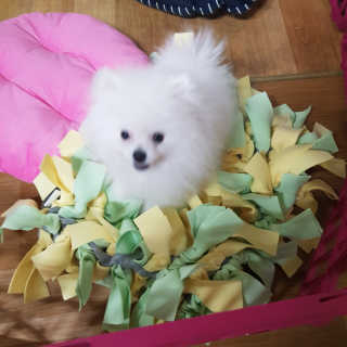 김한솔님이 올린 리뷰 사진 1