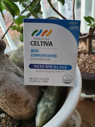 sue님이 올린 리뷰 사진 1