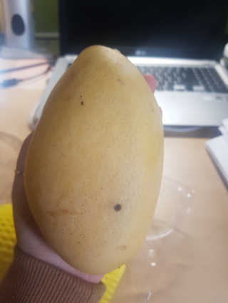 밍밍밍님이 올린 리뷰 사진 1
