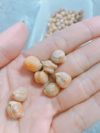 아룽님이 올린 리뷰 사진 4