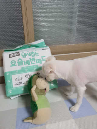 주여니이님이 올린 리뷰 사진 1