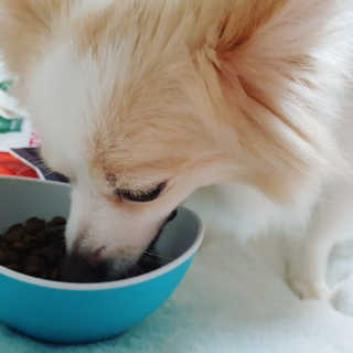 곰같은여우님이 올린 리뷰 사진 3