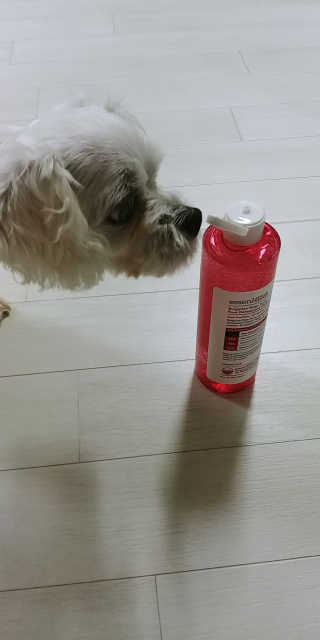 여늬님이 올린 리뷰 사진 2