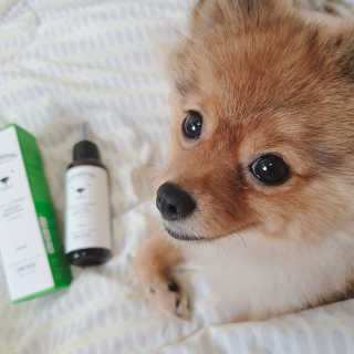 은선이짱님이 올린 리뷰 사진 4