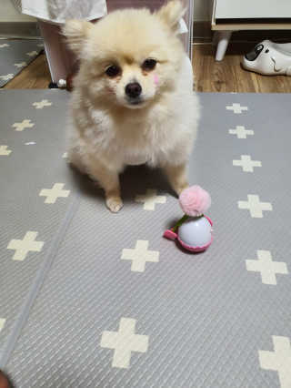뚱이땅콩맘님이 올린 리뷰 사진 2