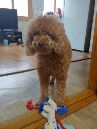 꾸질이님이 올린 리뷰 사진 2