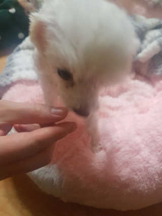숟이님이 올린 리뷰 사진 2