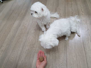리지님이 올린 리뷰 사진 2
